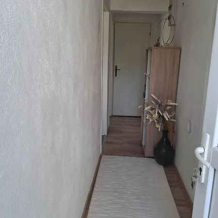 Zvjezda 2 Jajce